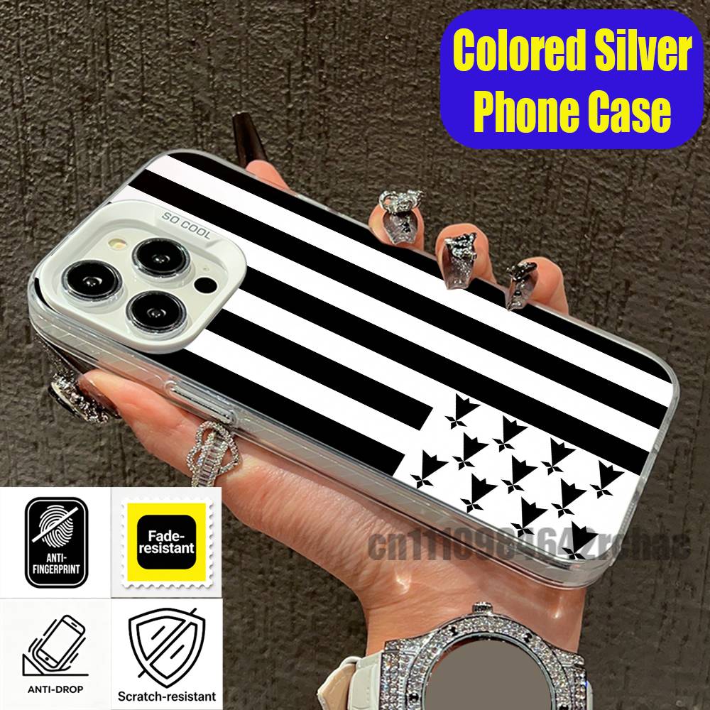For Bretagne Brittany France R - огляд і ціна Phone Accessories Logo